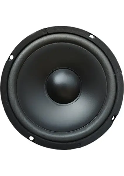 Pw-16.2 2 Pawer 16 cm Çıplak Hoparlör 6.5