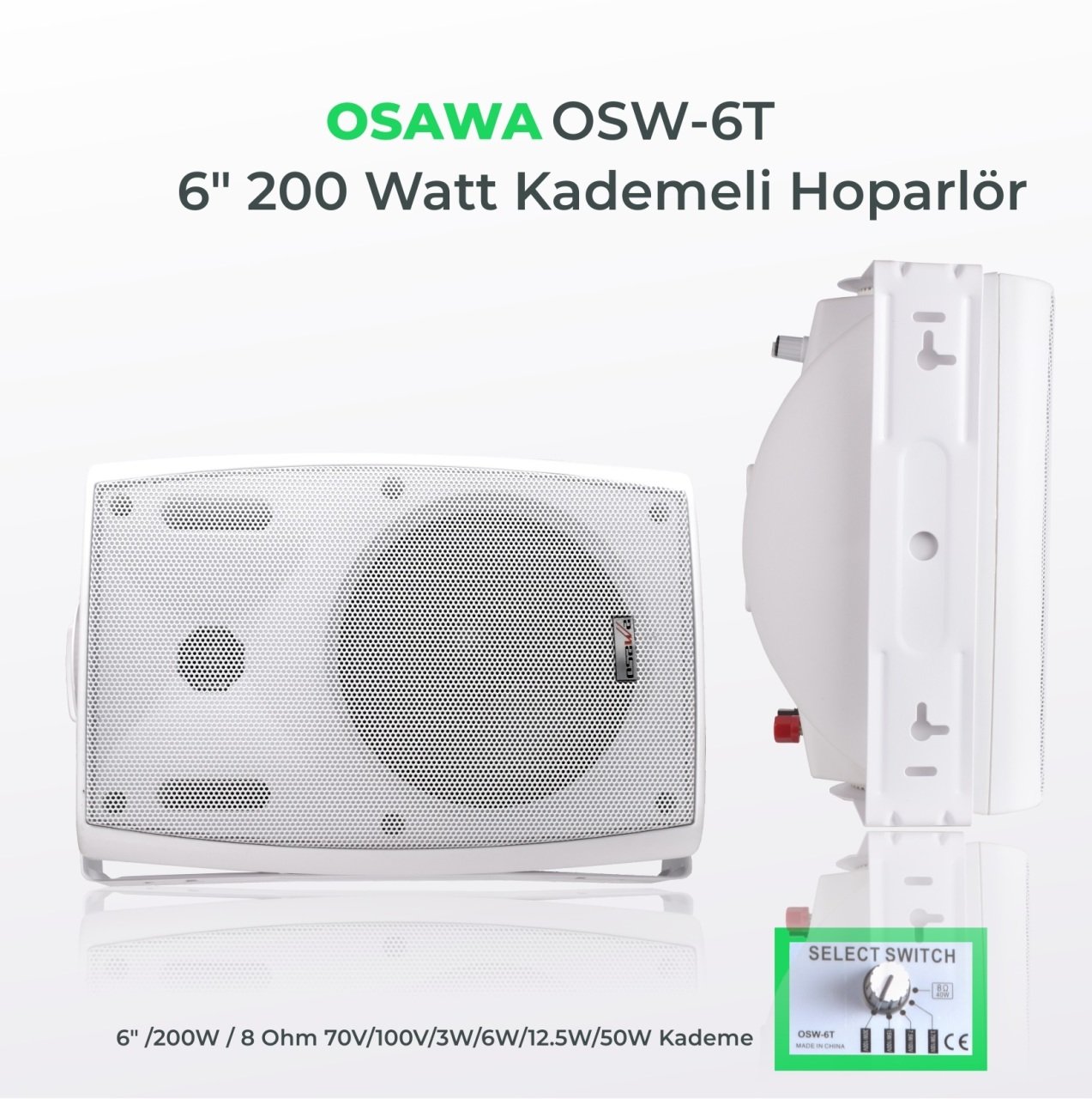 Osawa OSW-6 TB 6''200W Duvar Hoparlör