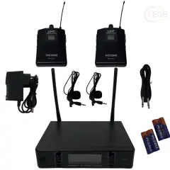 ROSE RW-211-YY 2YAKA 2 x 100 Kanal