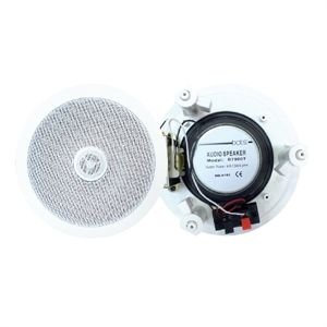 B-9000 T Tavan Hoparlör